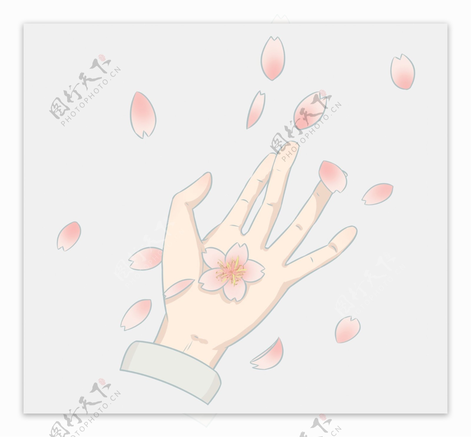 飘落的樱花和手指插画
