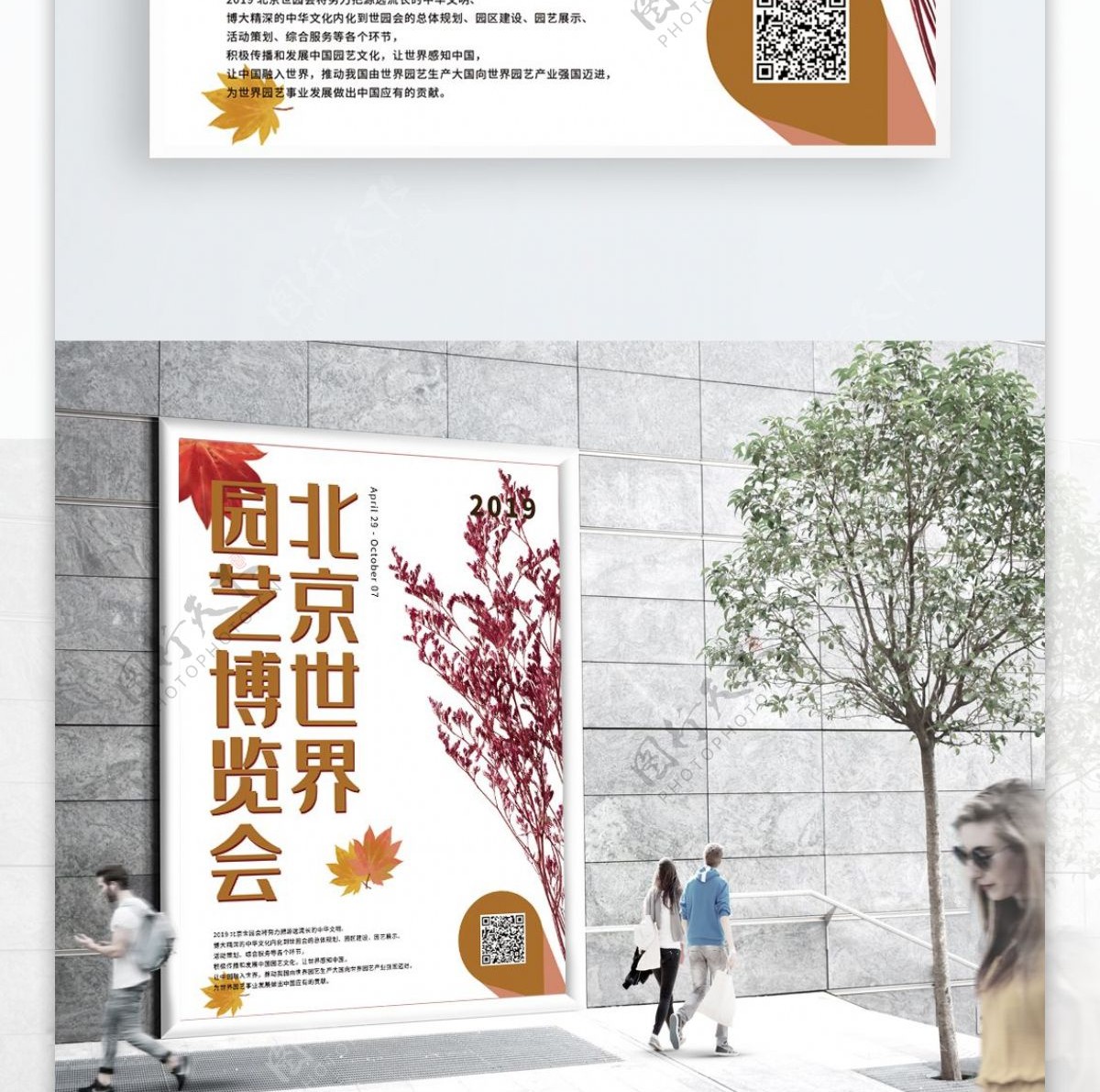 色彩植物北京世界园艺博览会