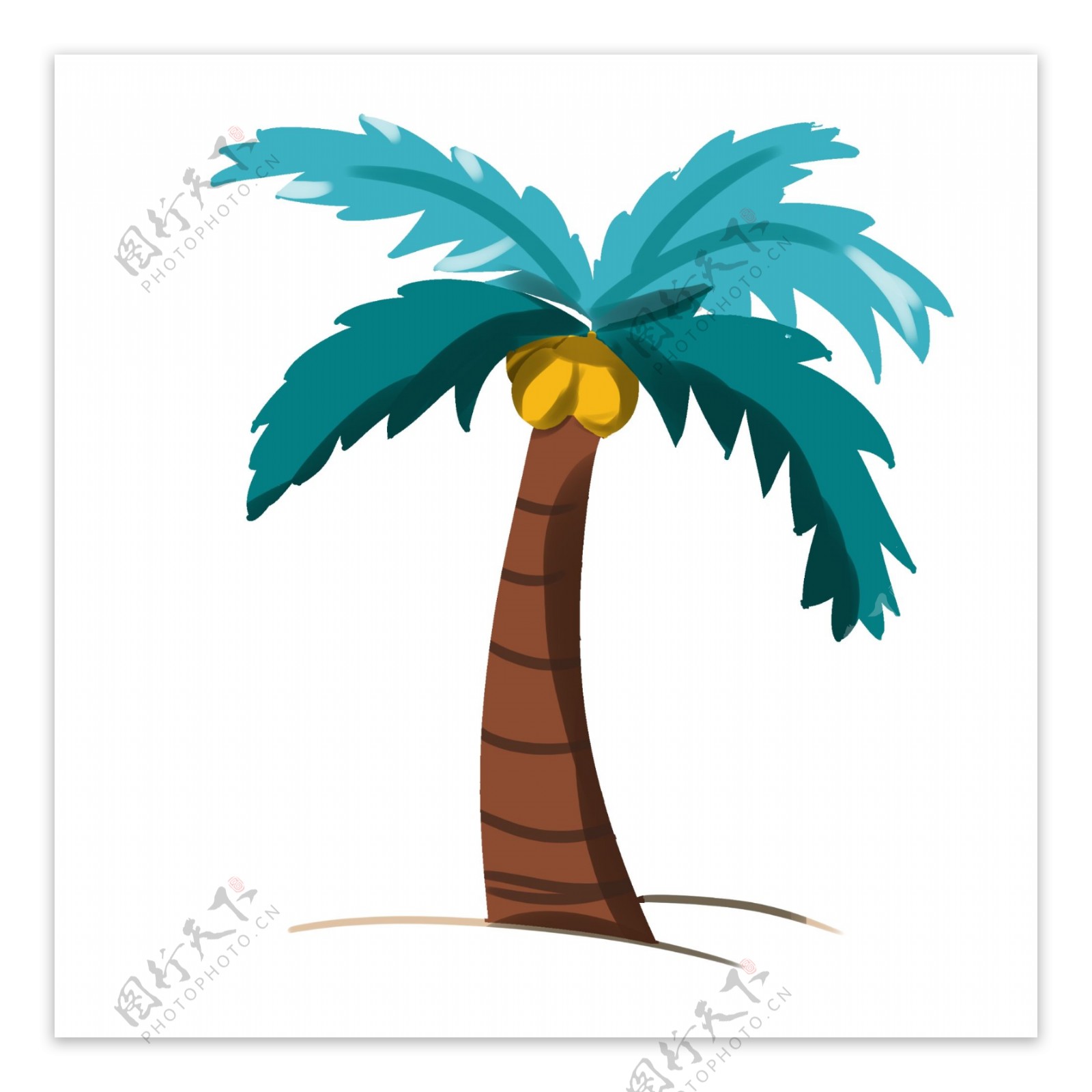 种植夏日椰子树
