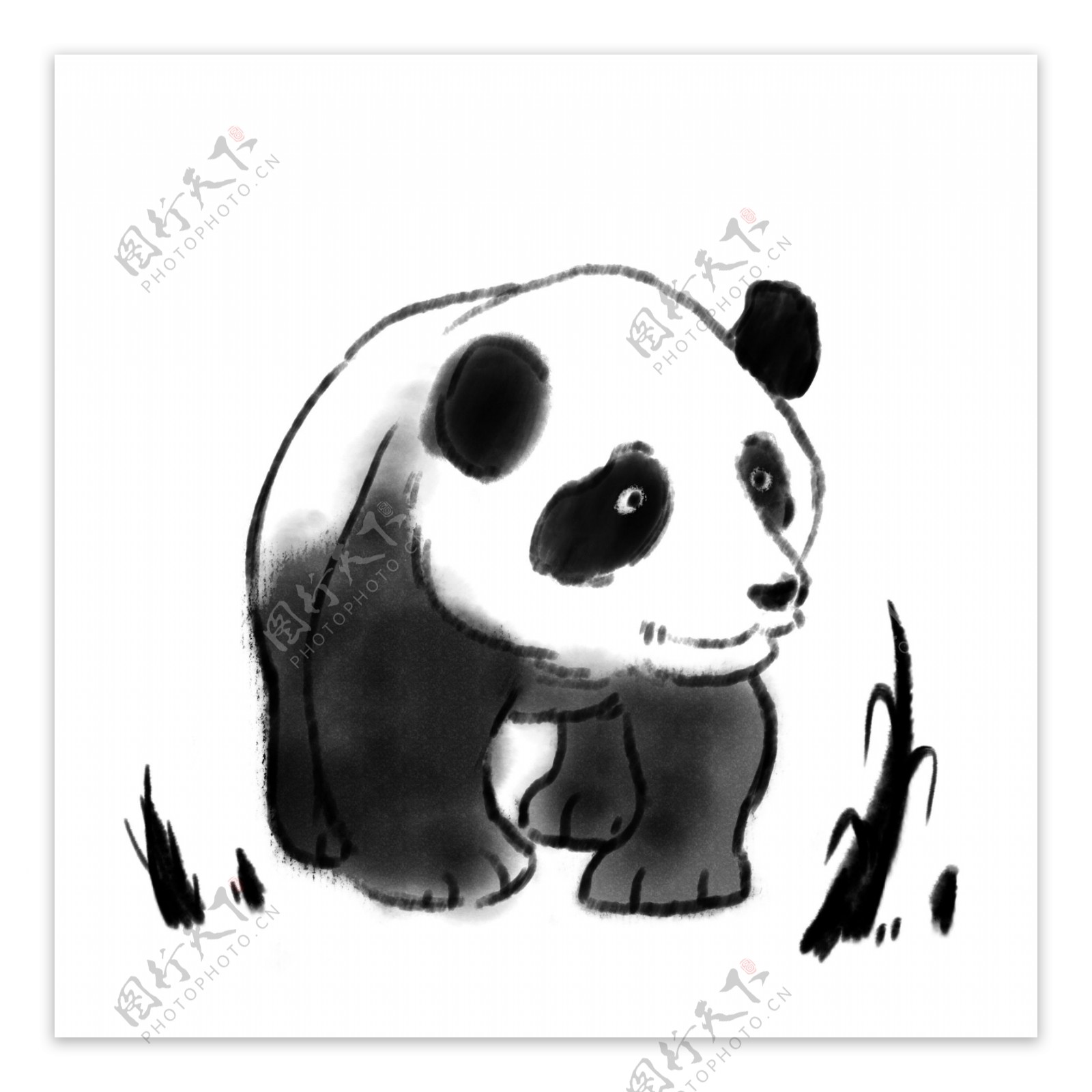 熊猫保护动物