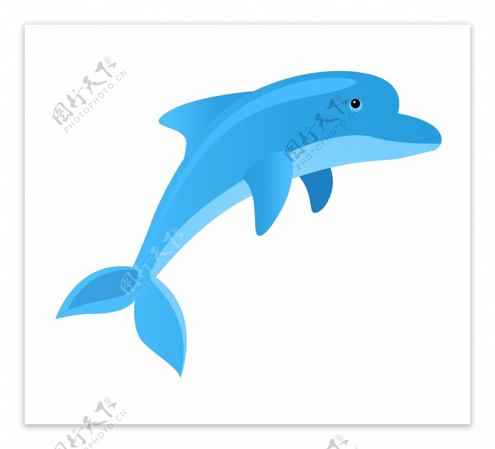 海豚海洋生物