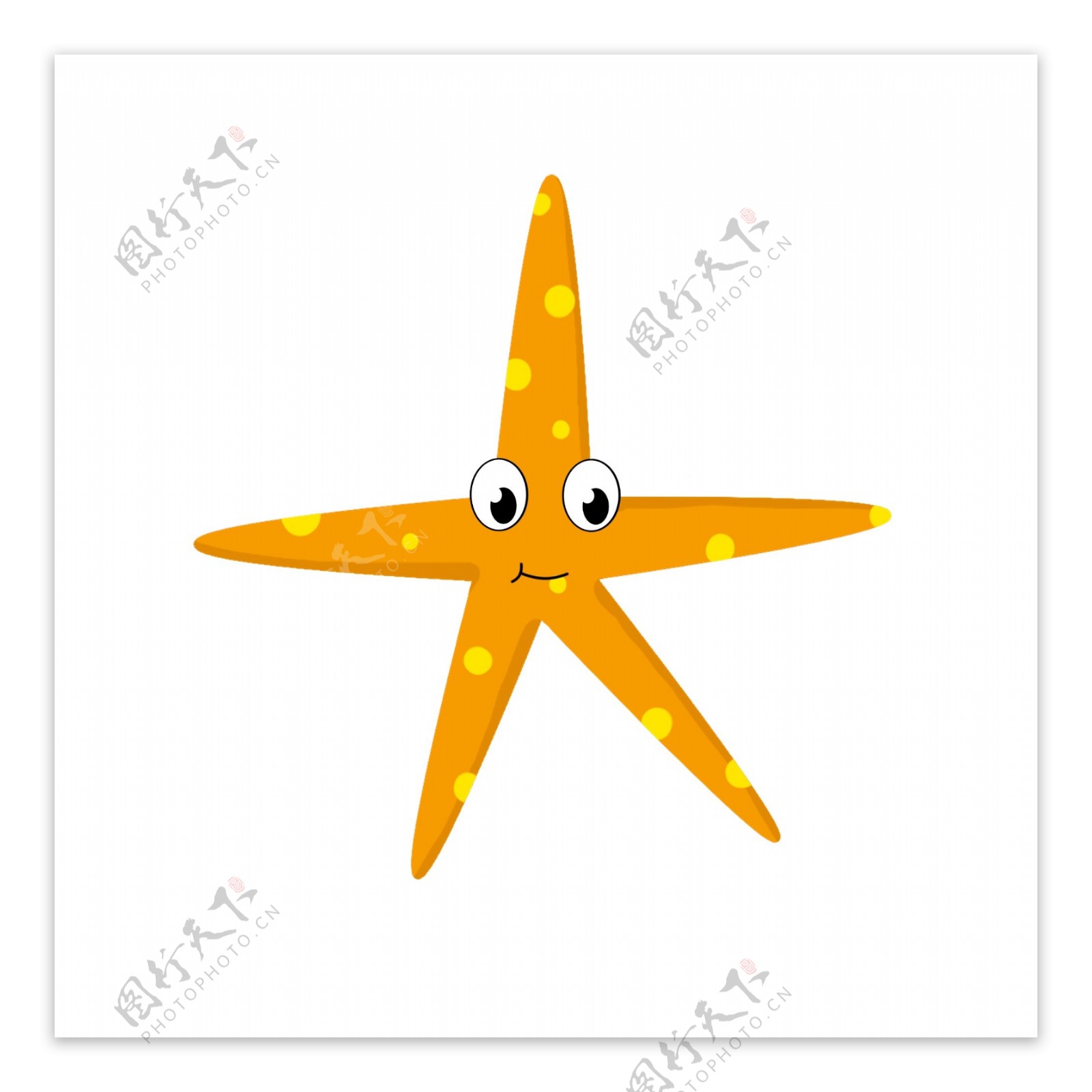 橙色海星