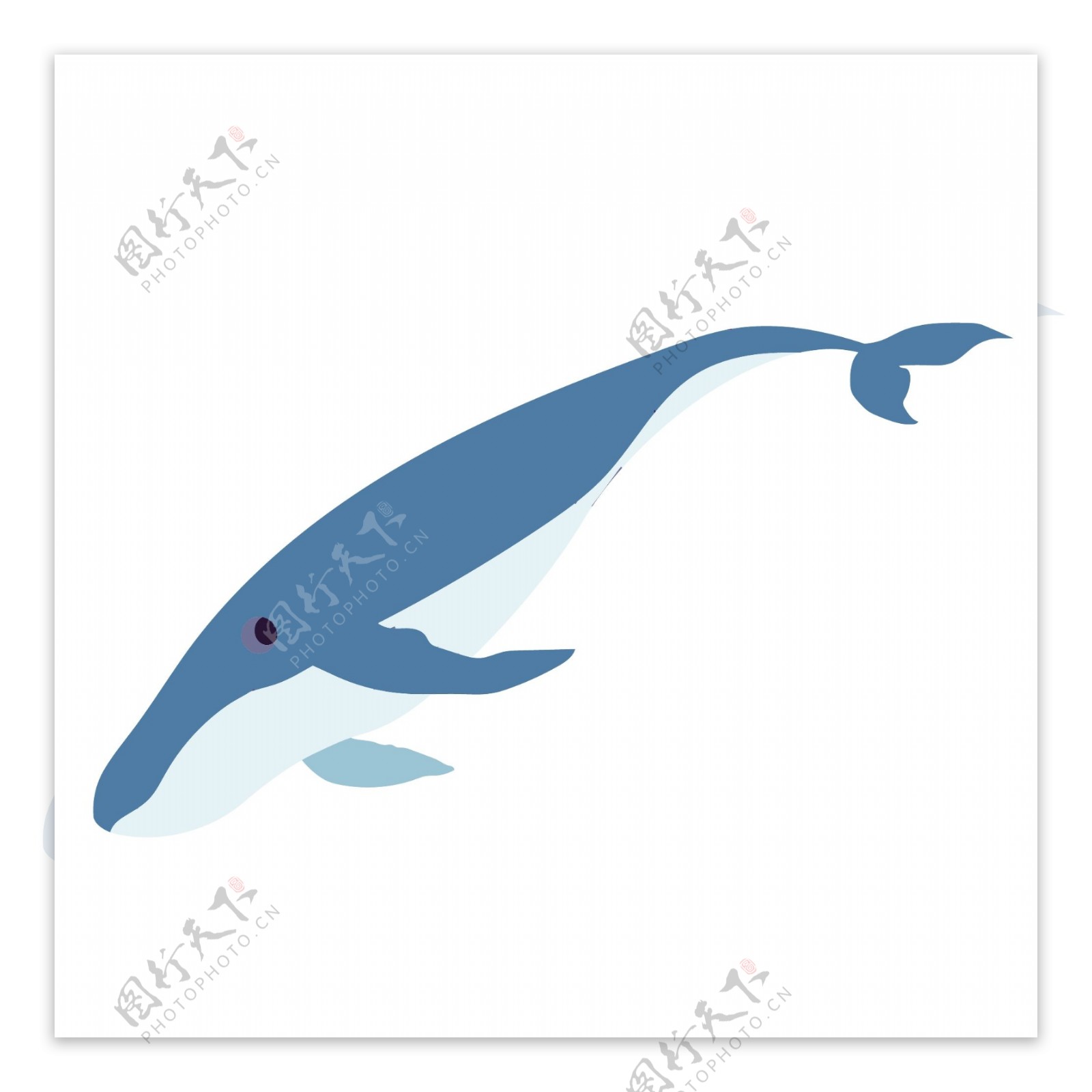蓝色简约鲸鱼图案