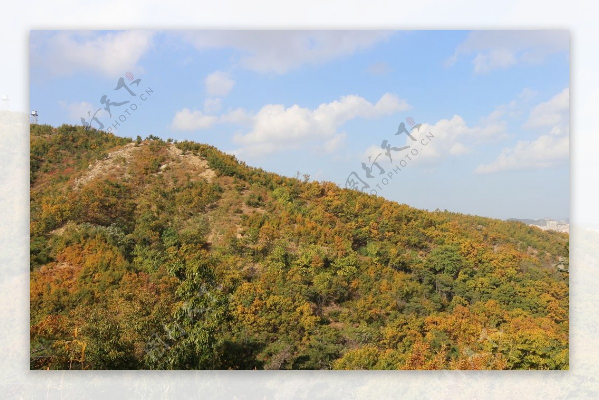 里口山