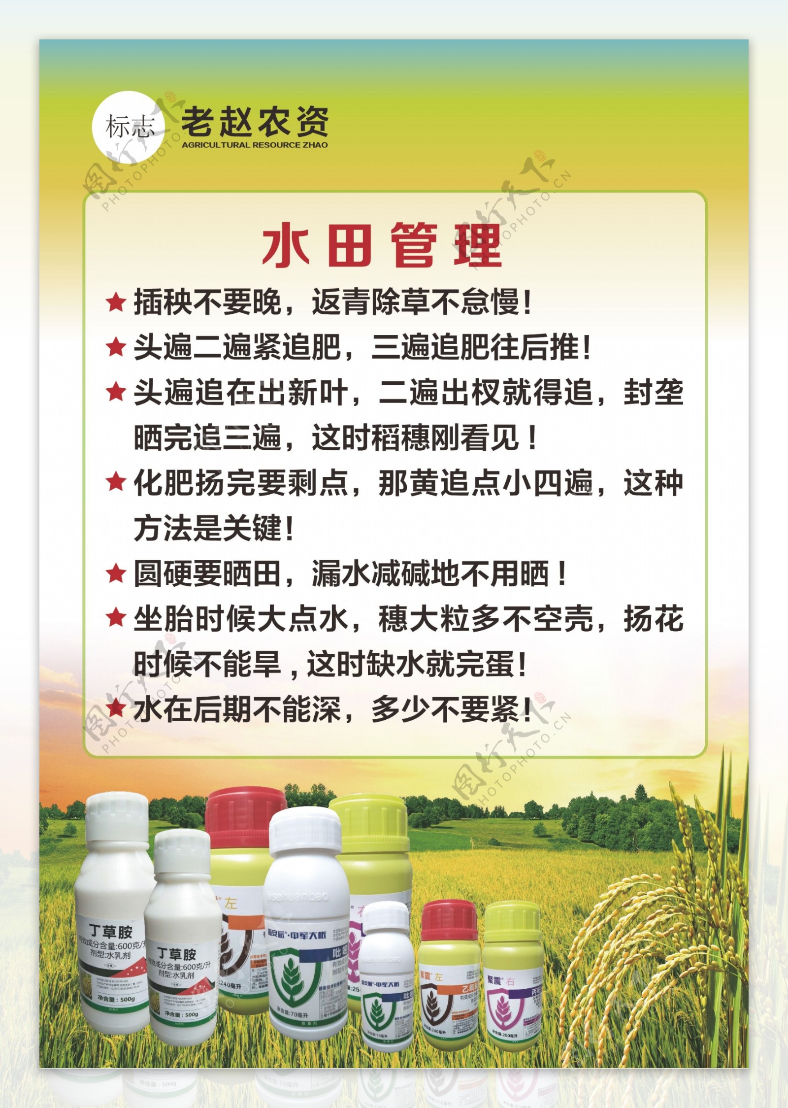稻田农业农药海报