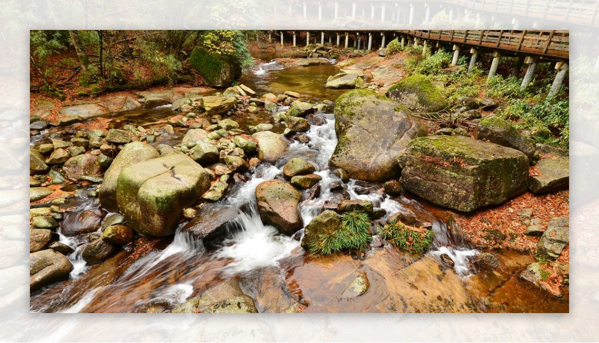 深秋的林间溪流风景