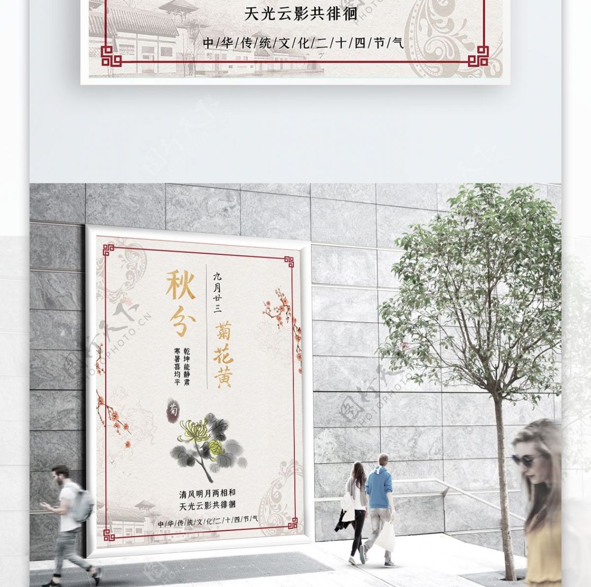 简约传统中国风秋分菊花海报