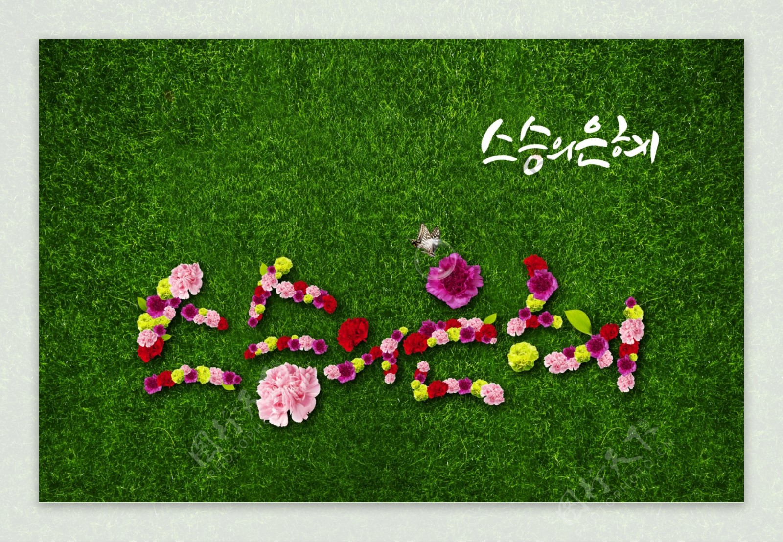 绿草地花朵韩国字