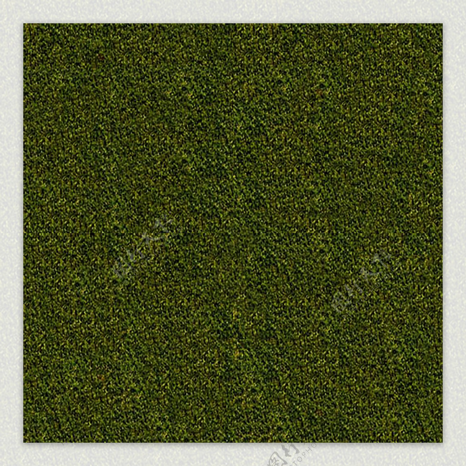 绿色植被