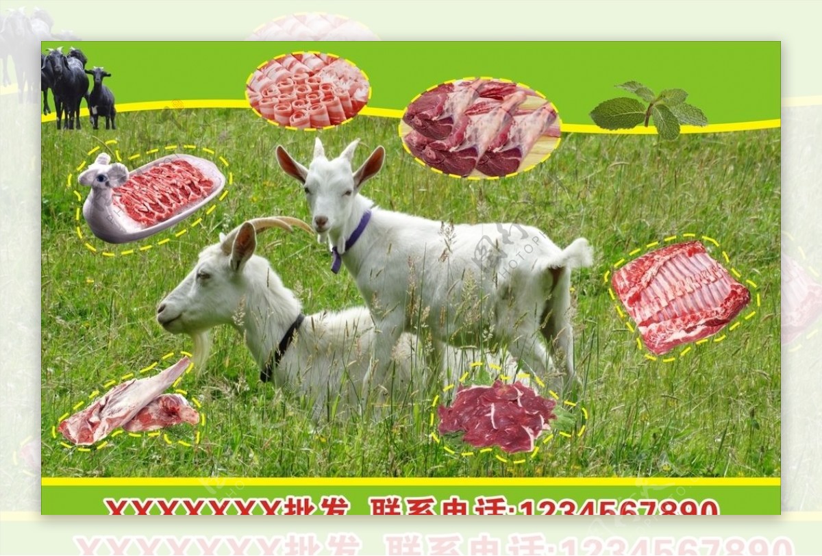 羊肉海报