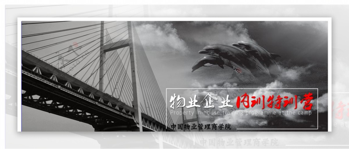 企业banner