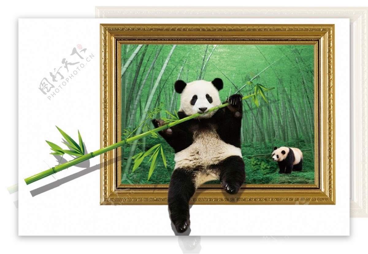 3D熊猫吃竹子