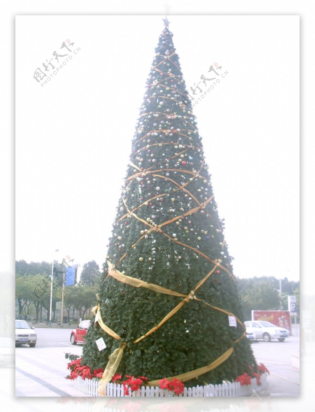 北滘广场圣诞树