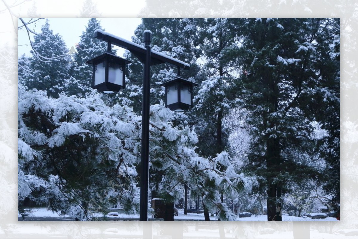 冬日初雪