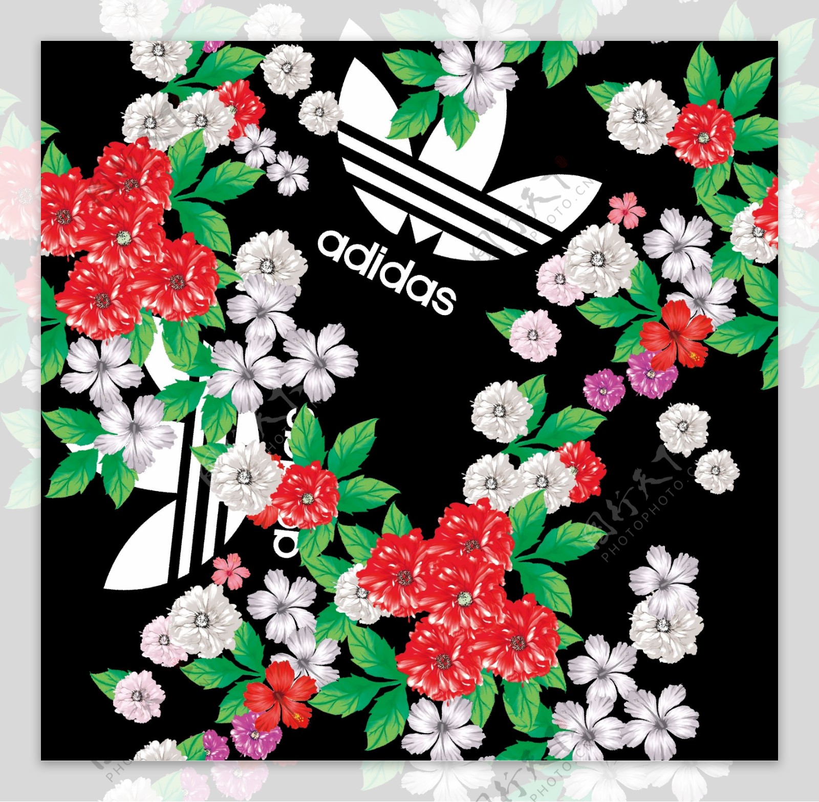 阿迪达斯Adidas大牌