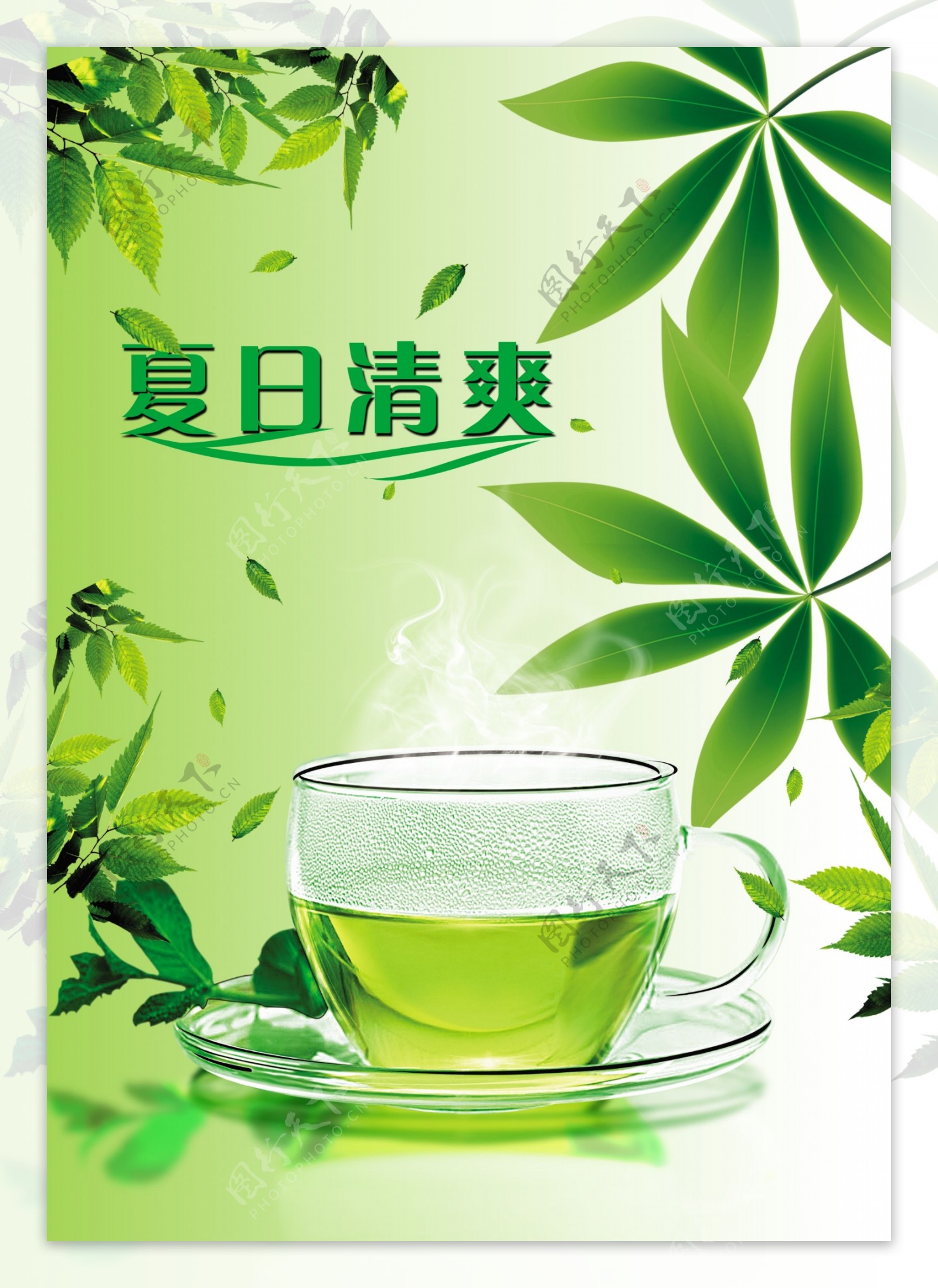 绿茶海报素材