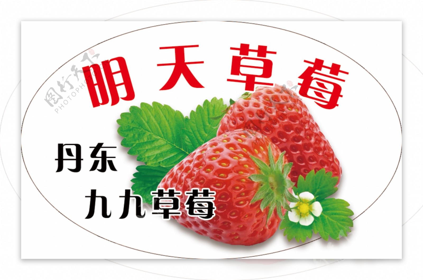草莓不干胶标签鲜果异形