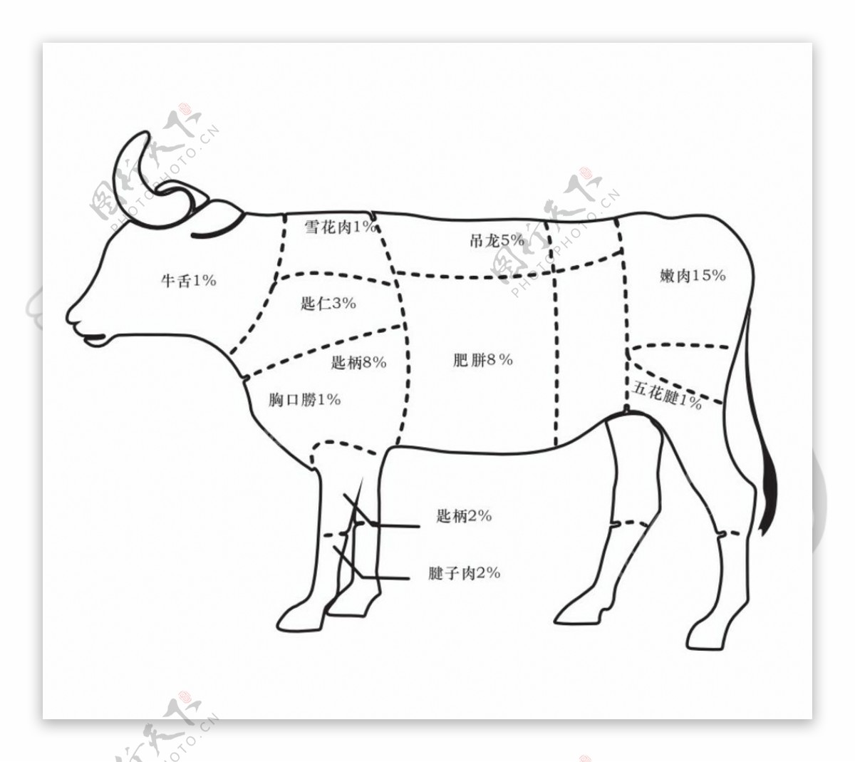 手绘牛肉分区