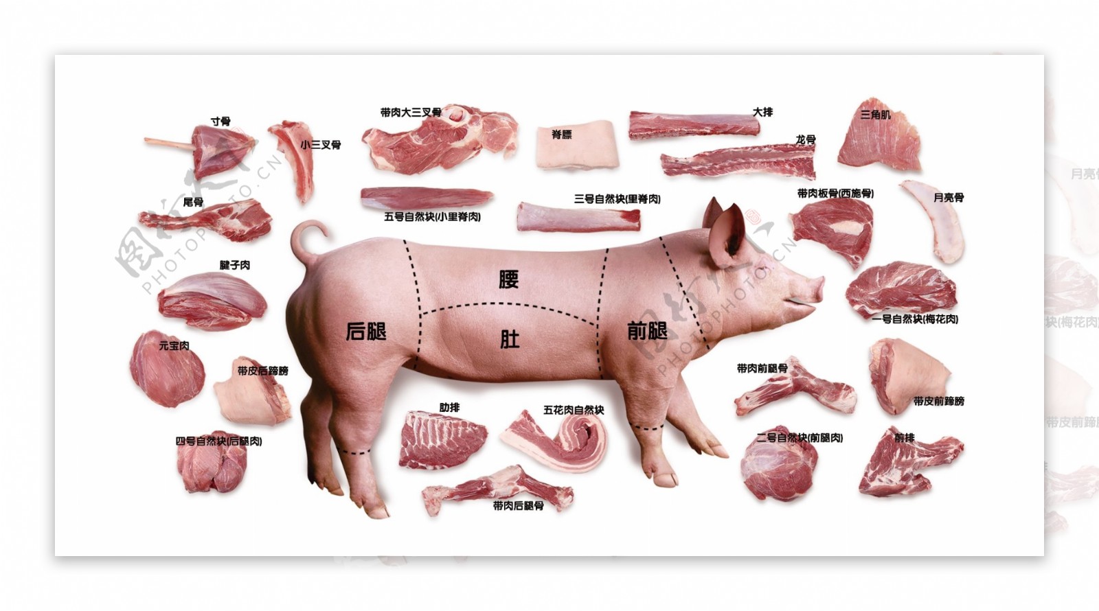 猪肉分布