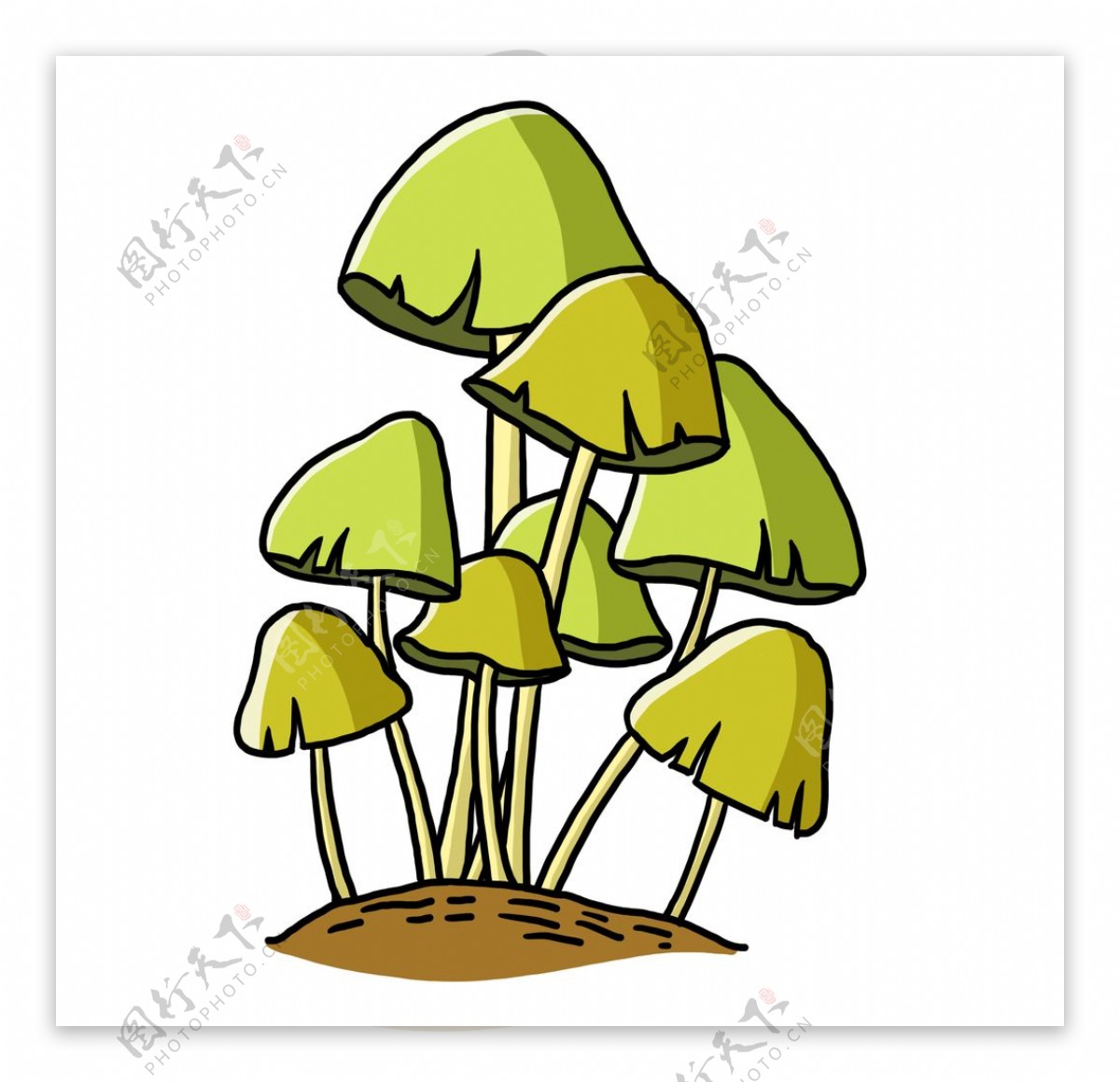 手绘绿色小蘑菇