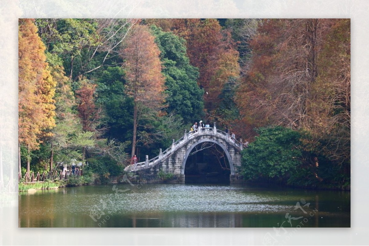 仙湖植物园