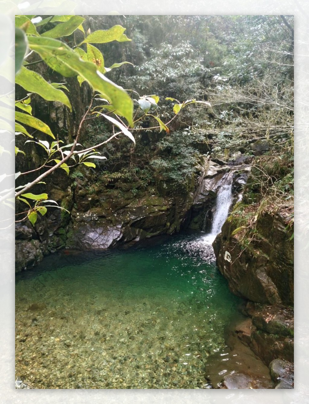 遂昌县九龙山自然保护区