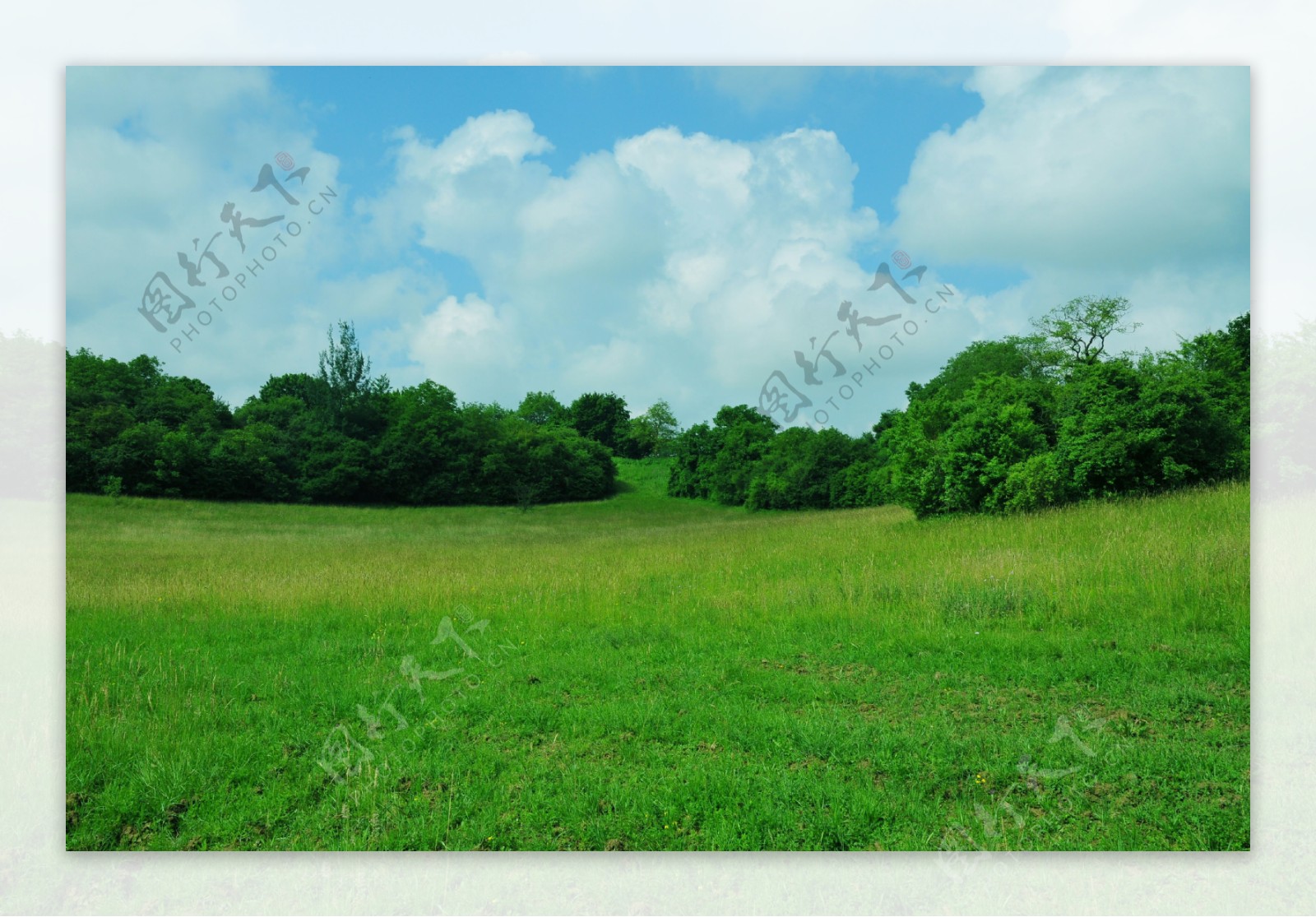 舒适养眼的绿色草原美景摄影