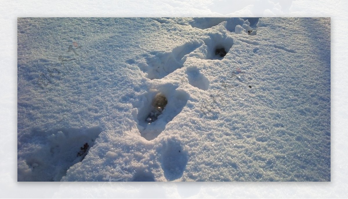 脚印雪阴影冬天冷白