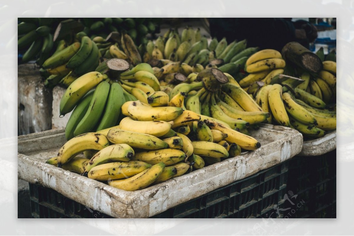 香蕉堆放