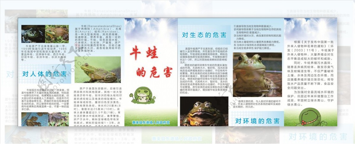 牛蛙的危害环境保护折页三折