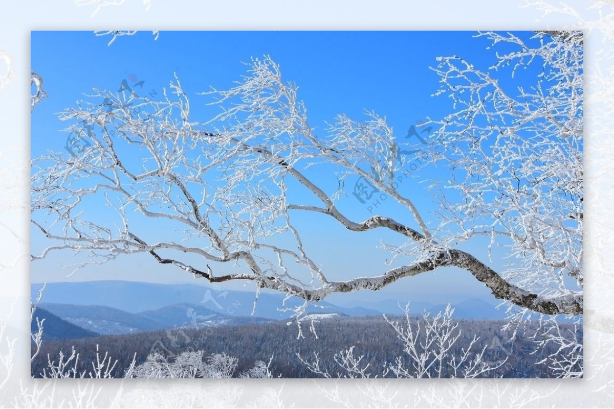 雪景