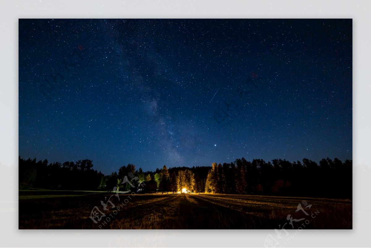 星空树林