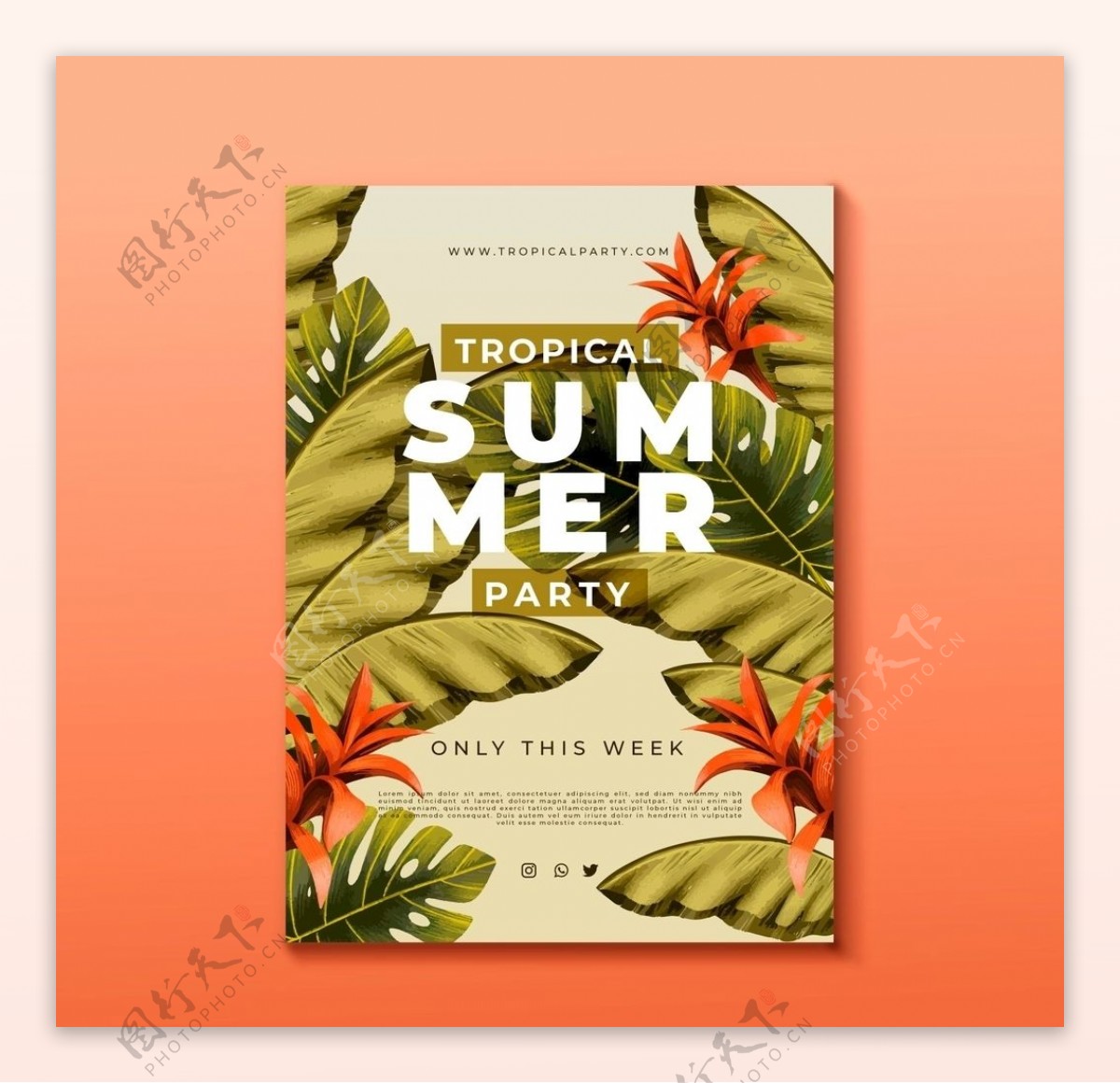 棕榈叶植物背景夏季海报设计