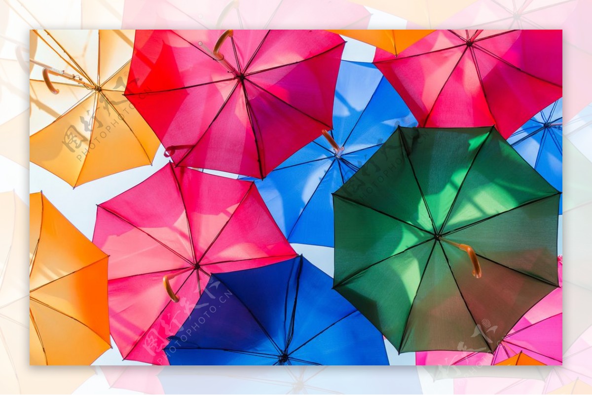 雨伞雨伞样式雨伞模型遮阳