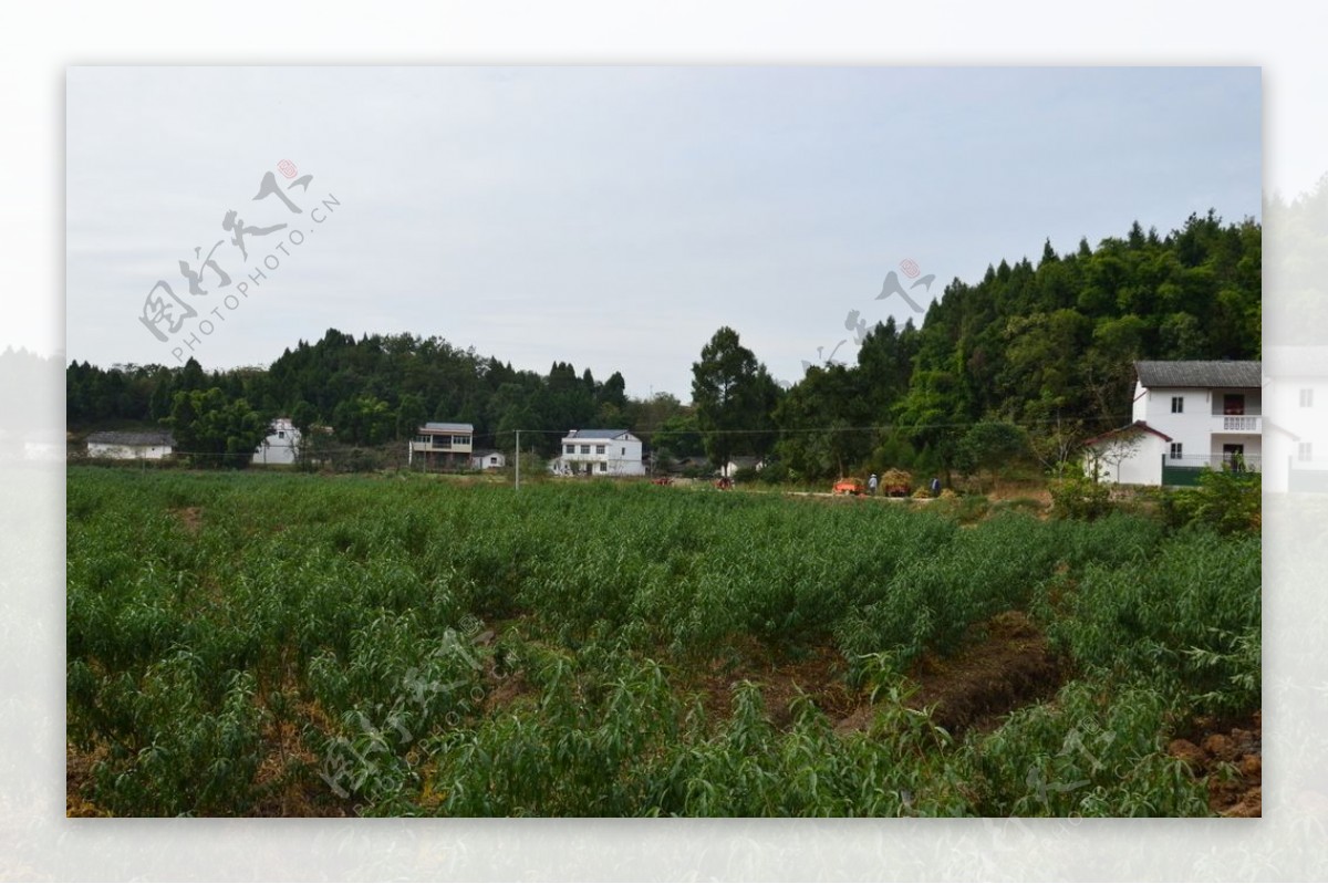 山村村庄民居风景早晨