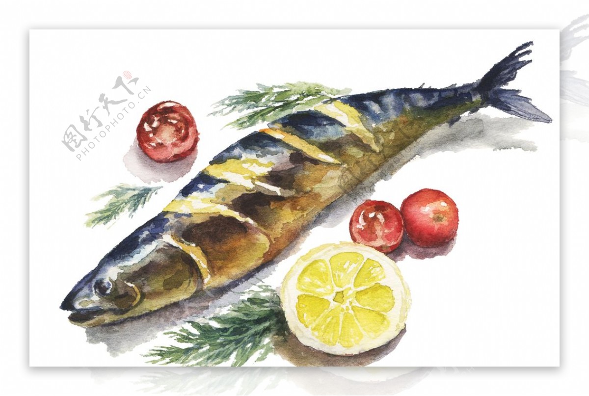 海鲜秋刀鱼绘画