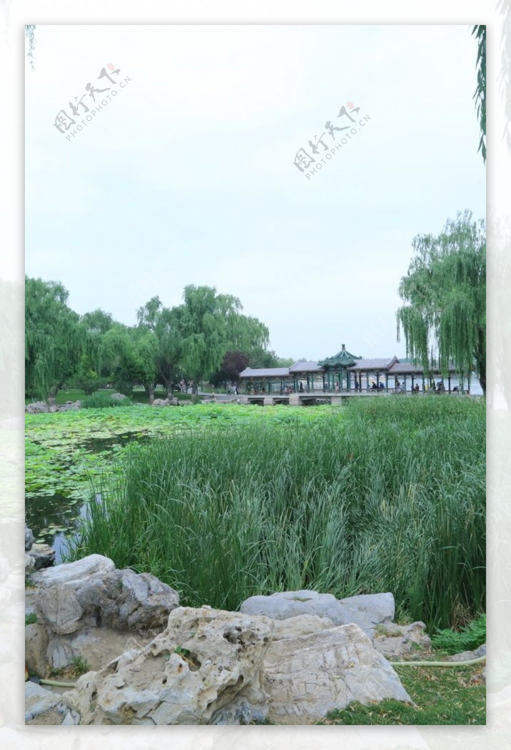 龙潭湖风景