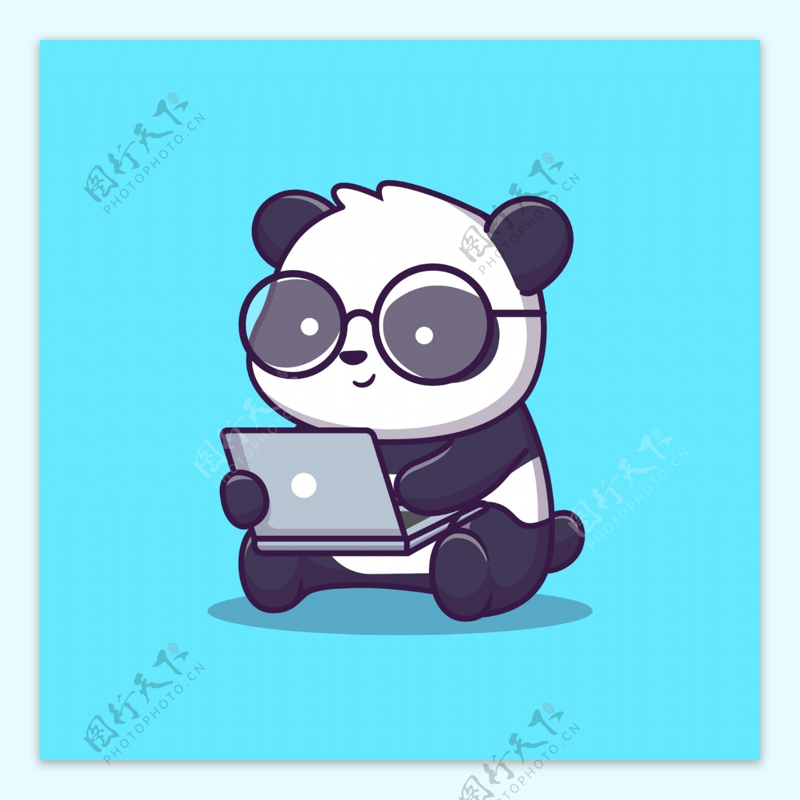 玩电脑的熊猫