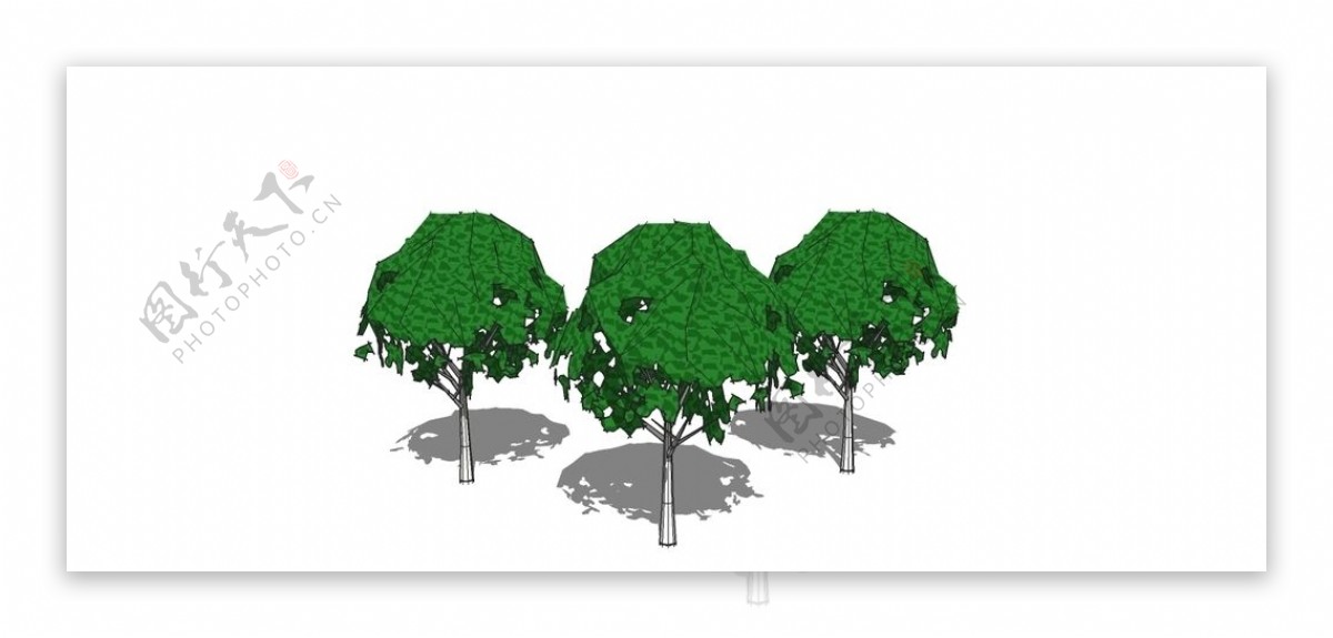 树木skp模型