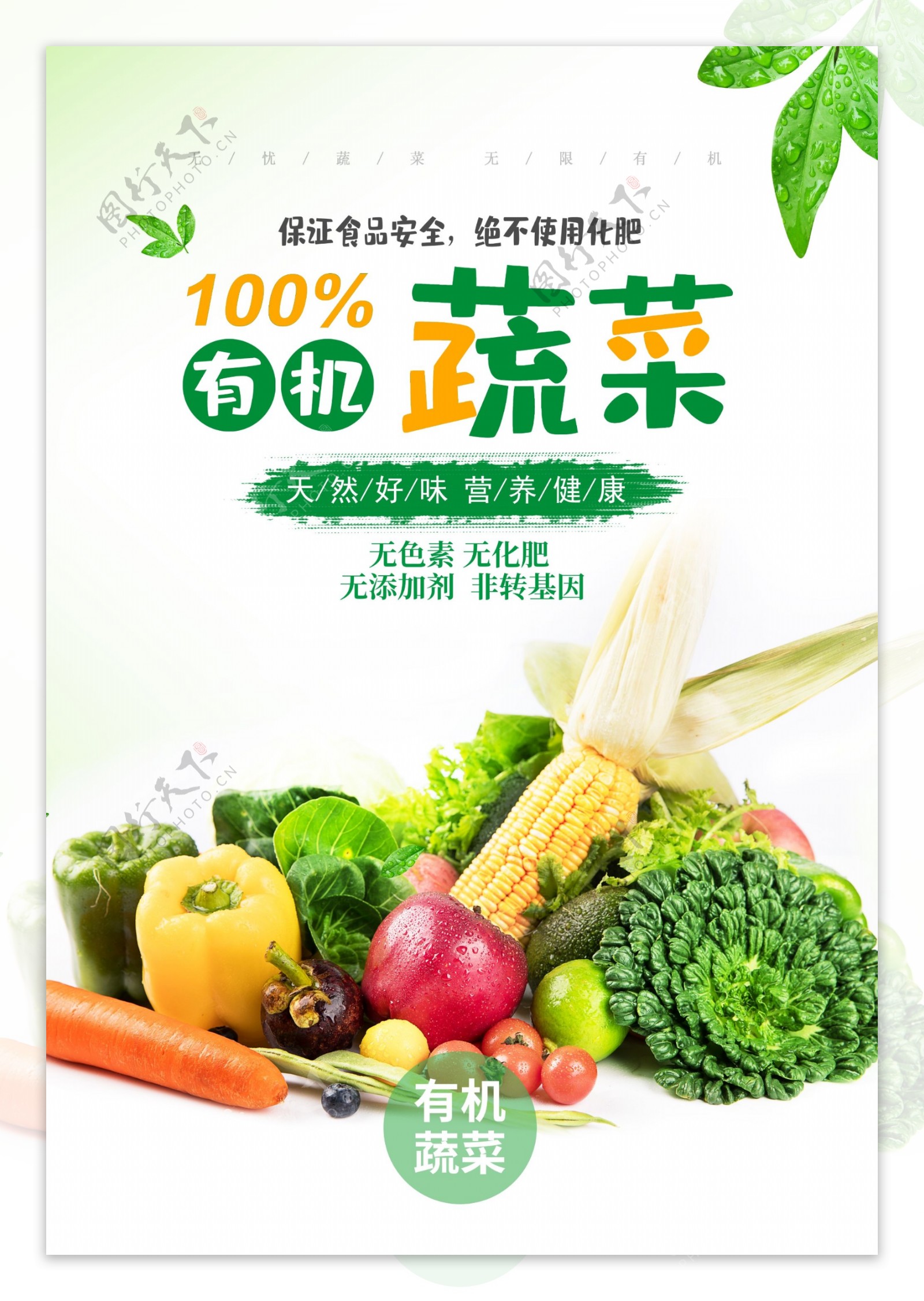 有机蔬菜海报