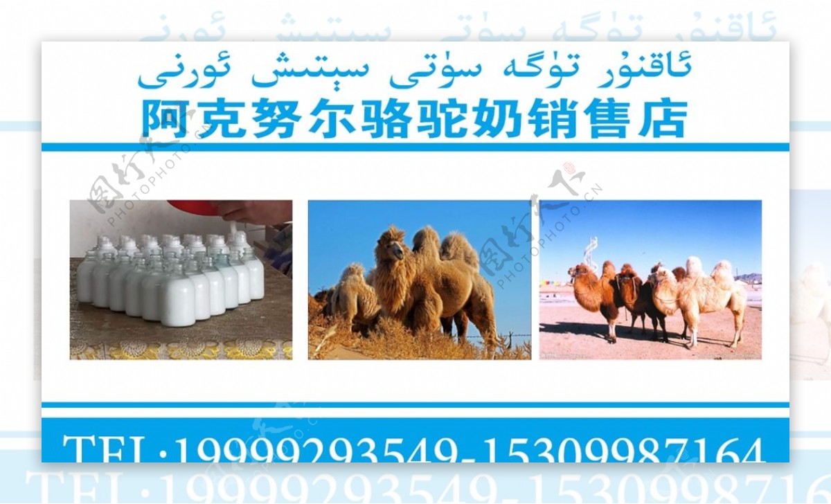 骆驼奶销售店