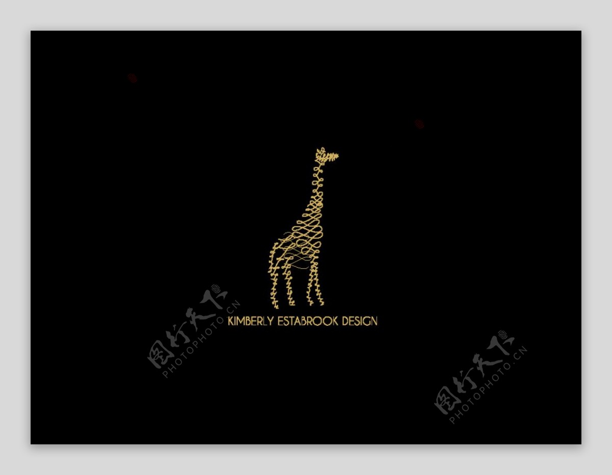 黑色画册动物封面设计