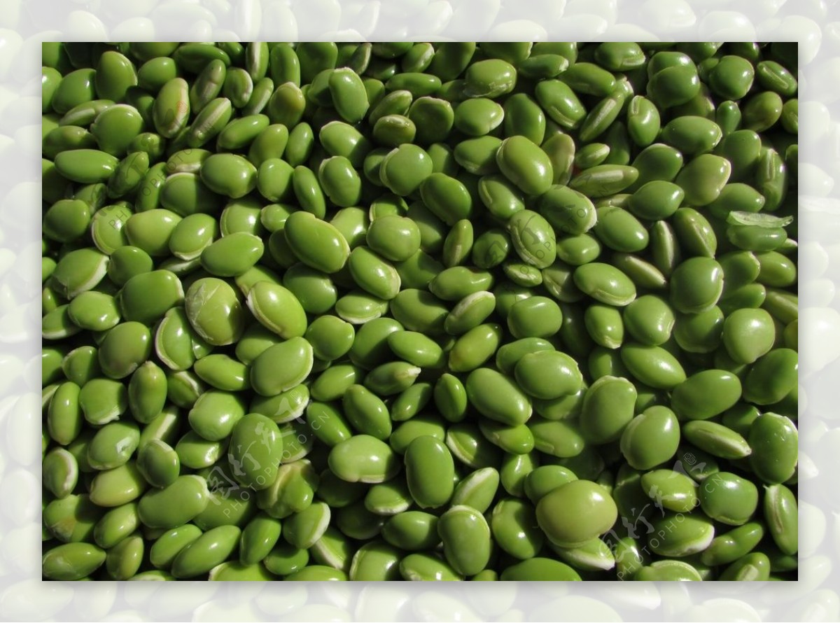 一堆在白色上分離的干綠扁豆 照片背景圖桌布圖片免費下載 - Pngtree