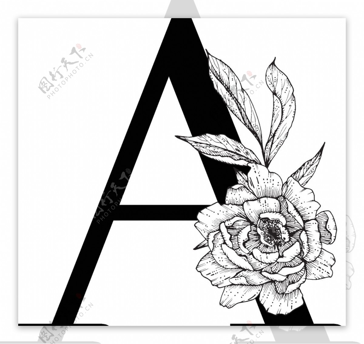 花卉装饰字母字母A
