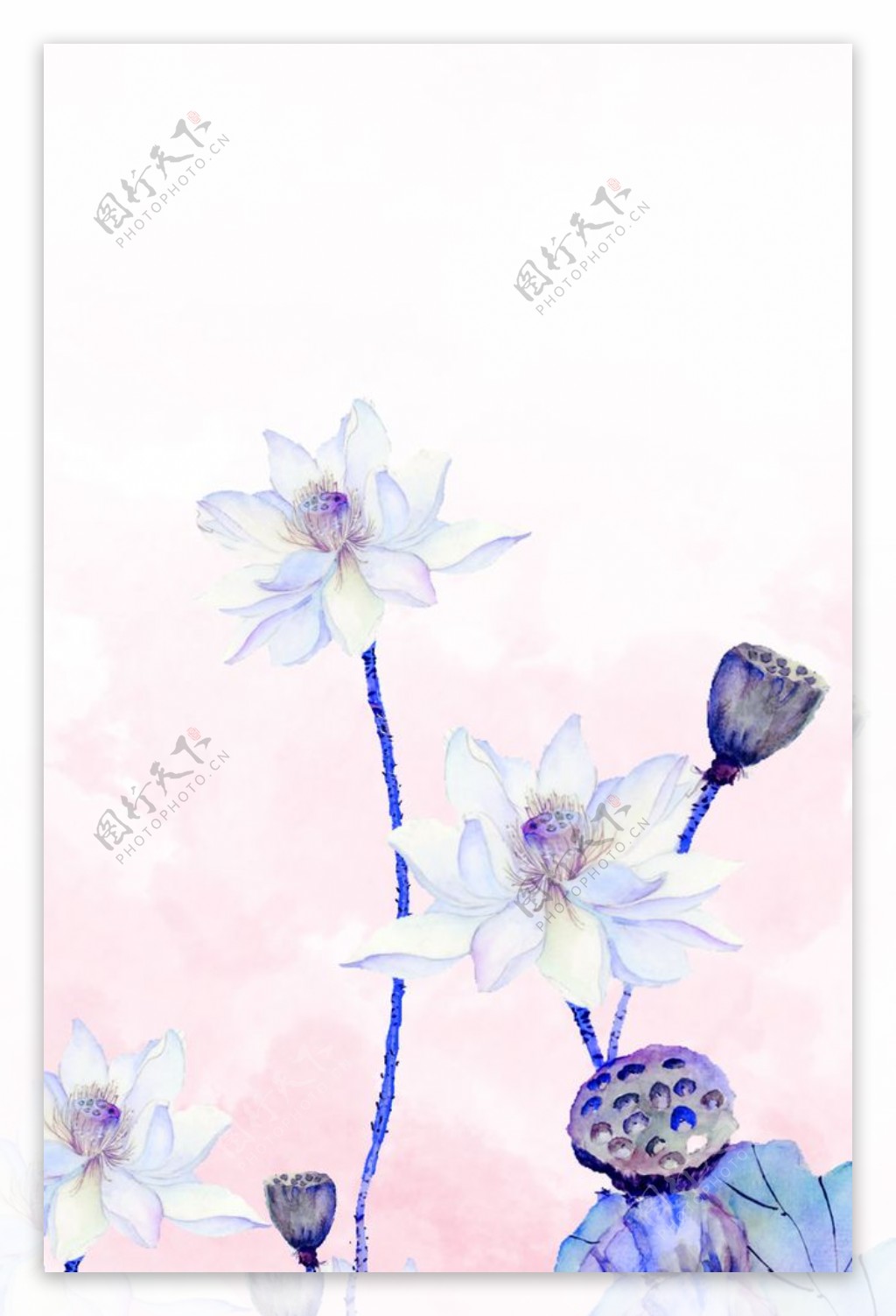 花卉水墨装饰画