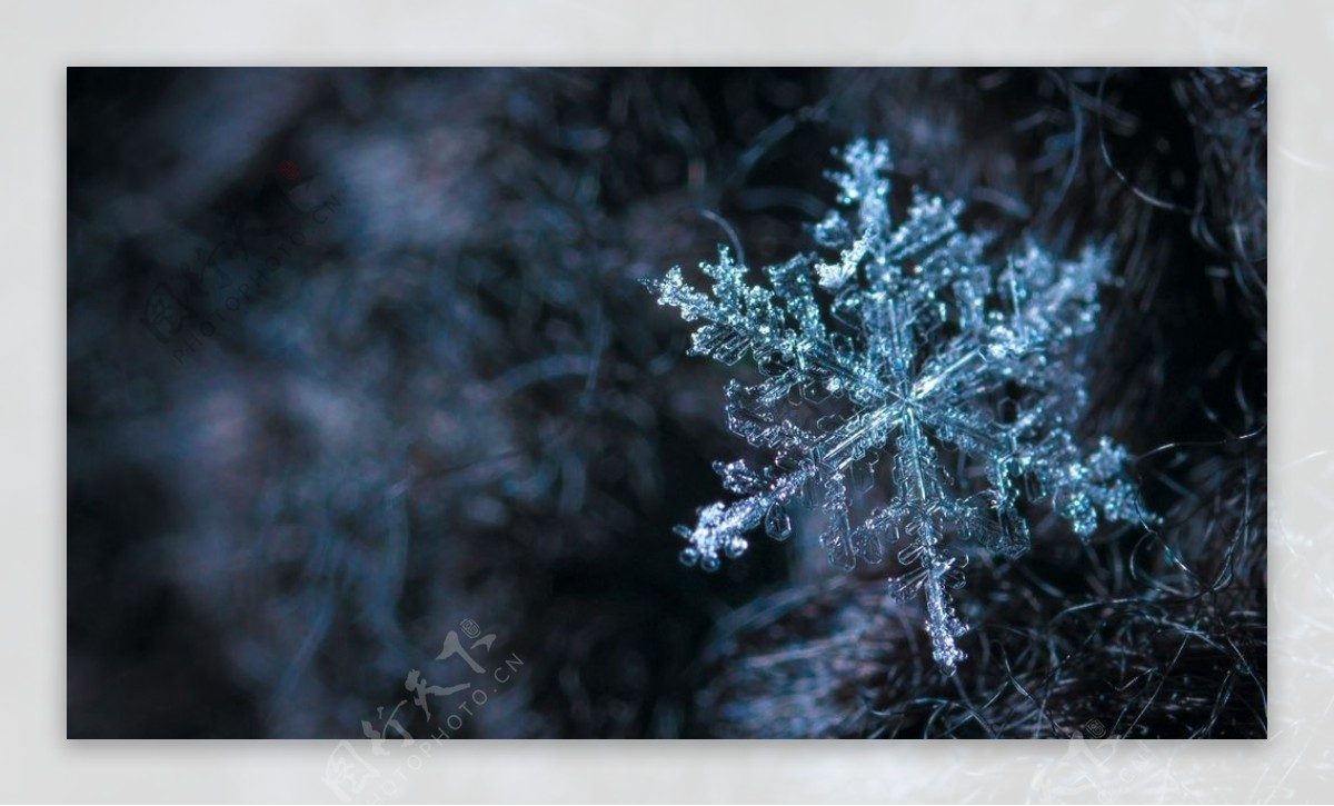 雪花冰晶冬季自然生态背景素材
