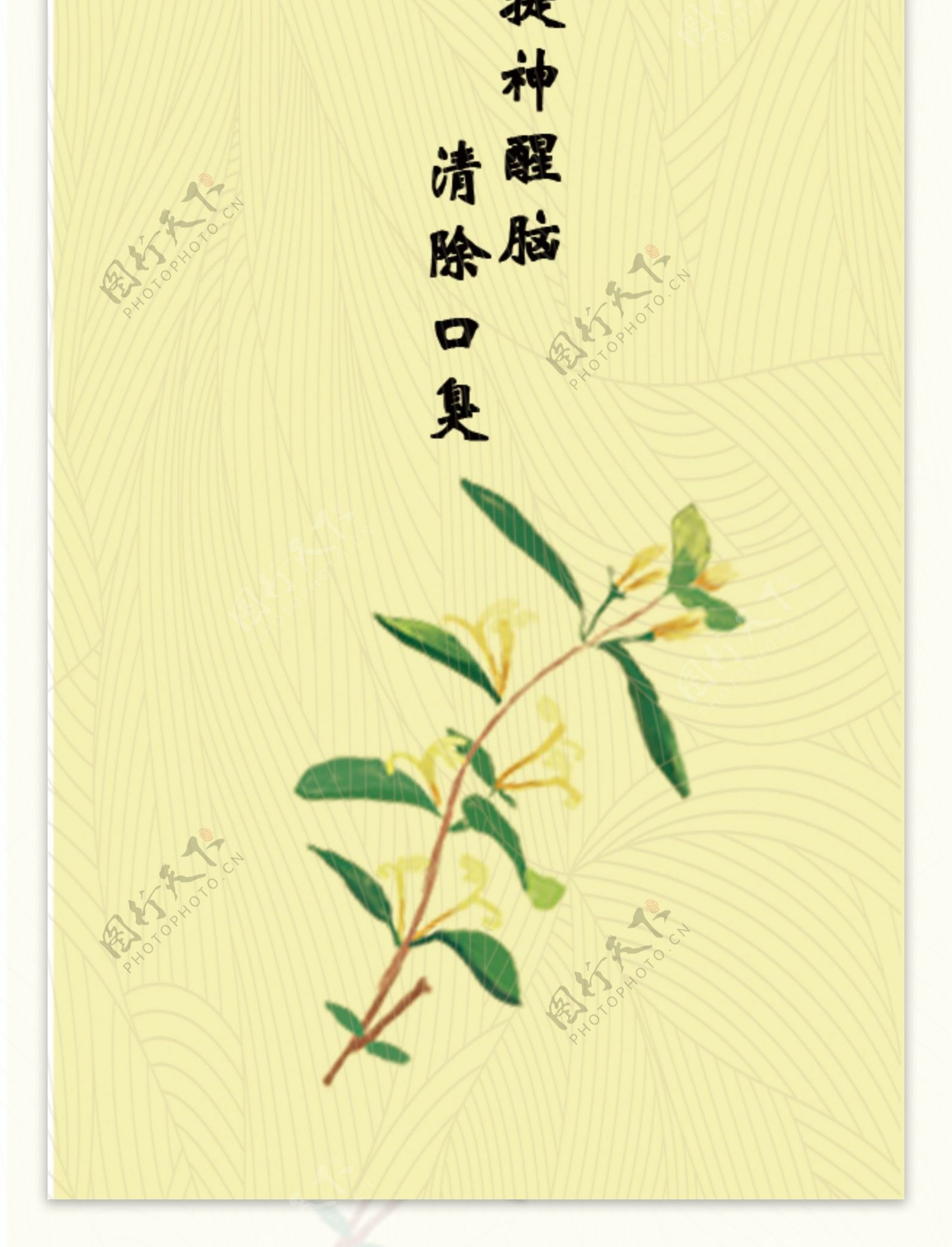 金银花花茶标签