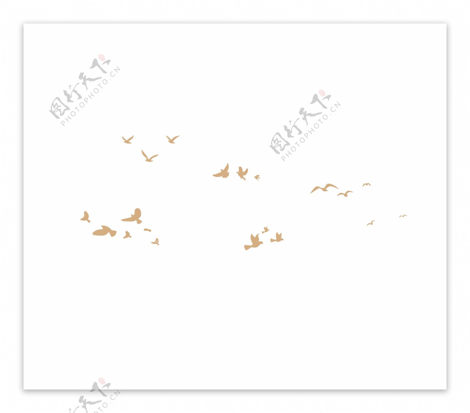 小鸟天鹅老鹰飞鸟剪影图片素材-编号09972581-图行天下