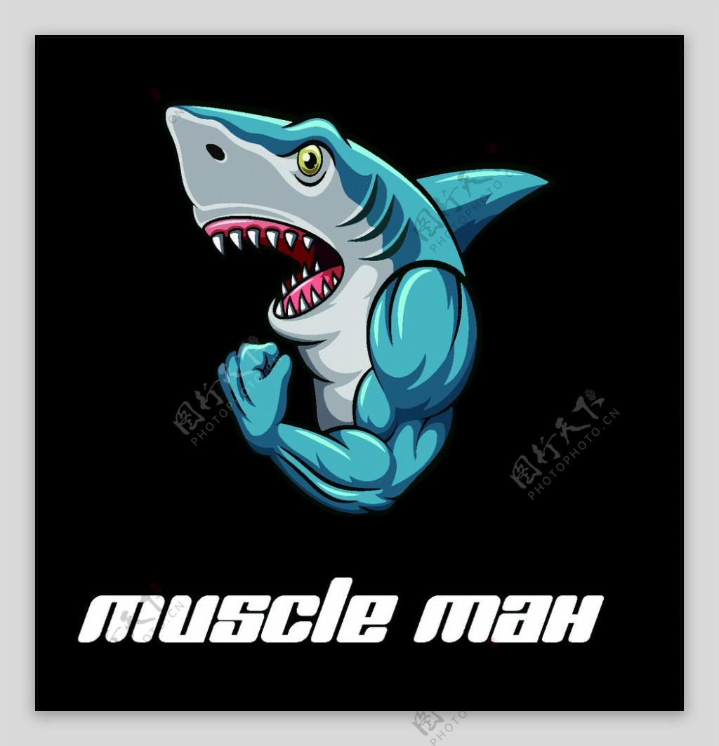 鳄鱼鲨鱼健身logo