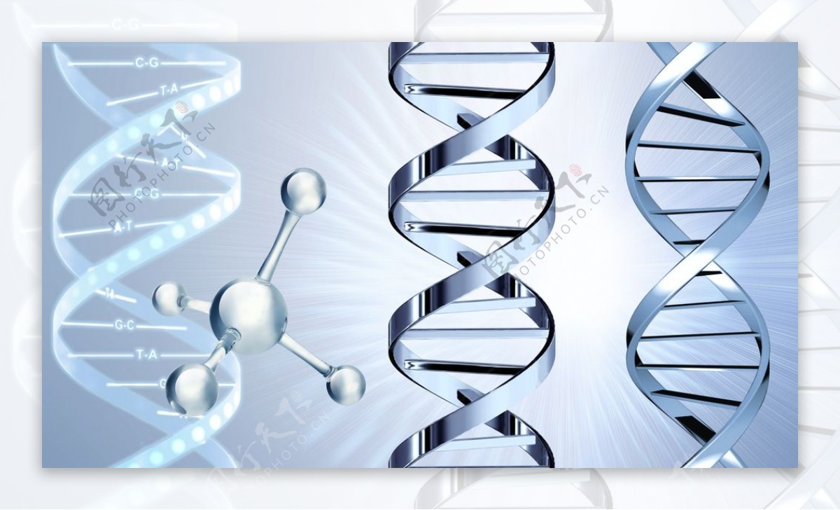 DNA基因链分子图片
